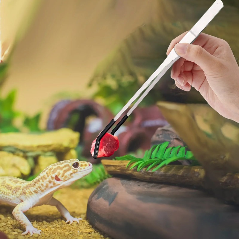 2 adet paslanmaz çelik cımbız  - Water Dish Reptile incelemesi ve fiyatı